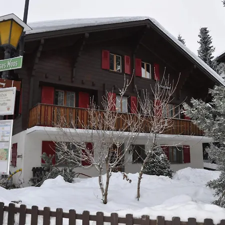 Minga Mal * Saas-Fee